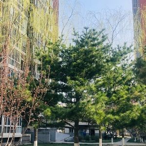 Meet your Posher, Tom